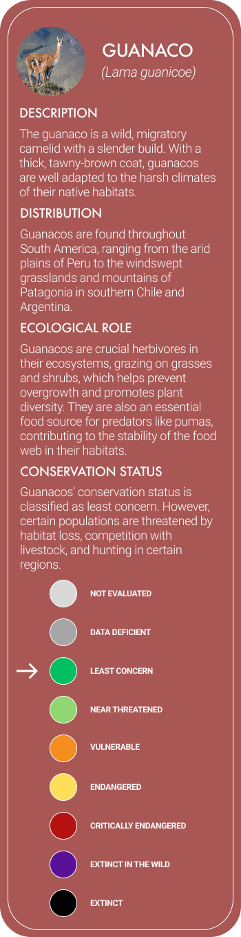 Guanaco Mobile