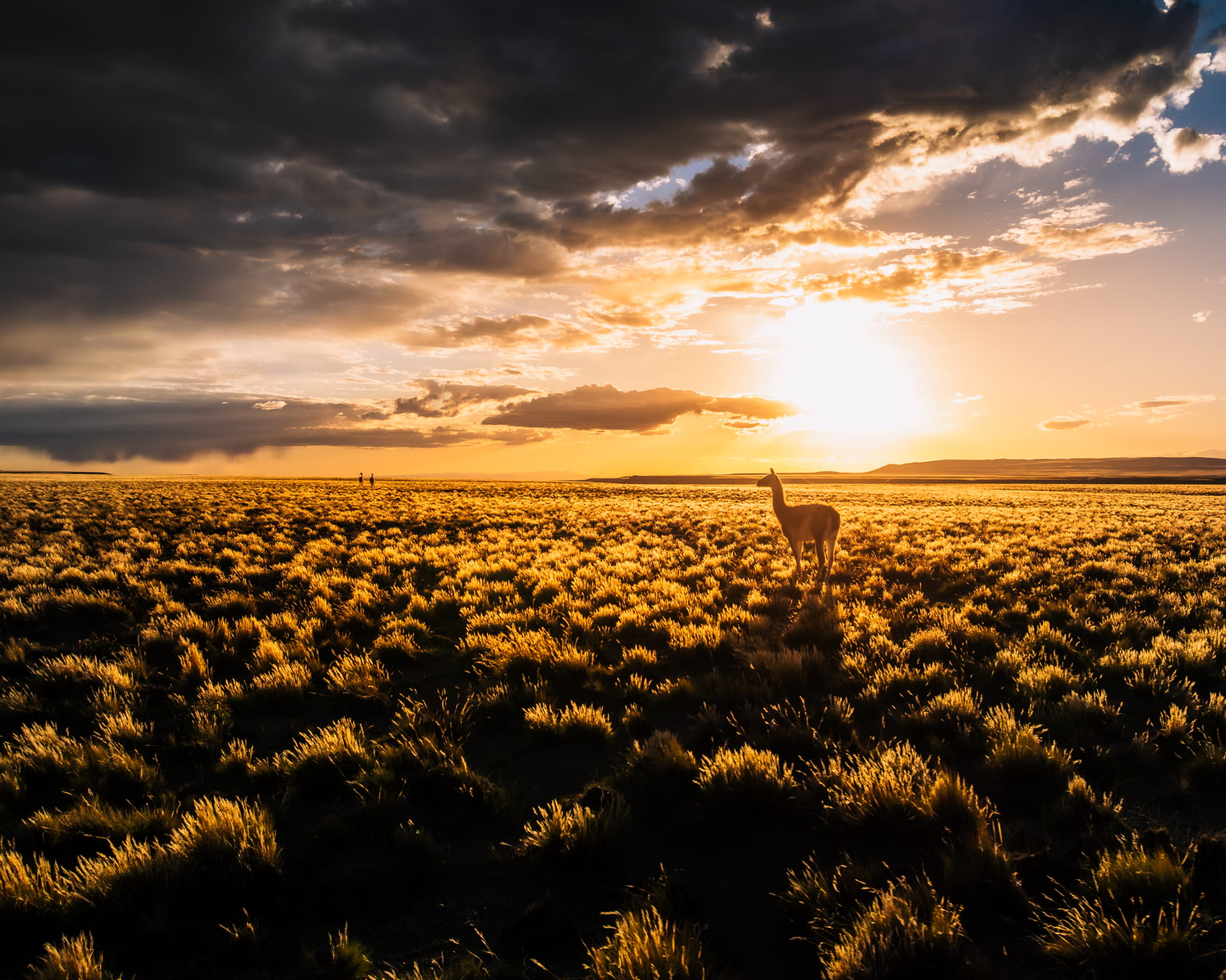 Descripción de la foto 6