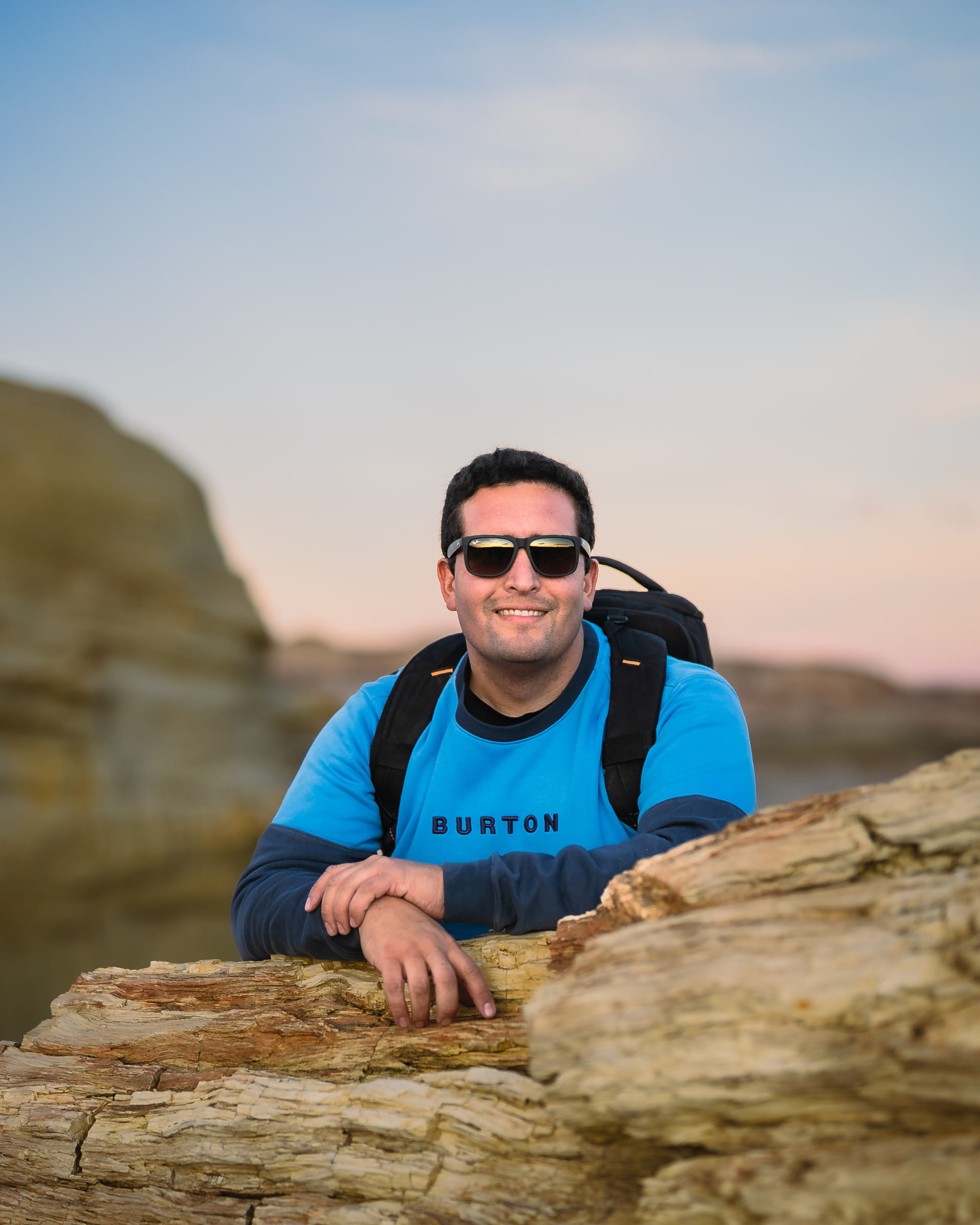 Wolffsohn's viscacha