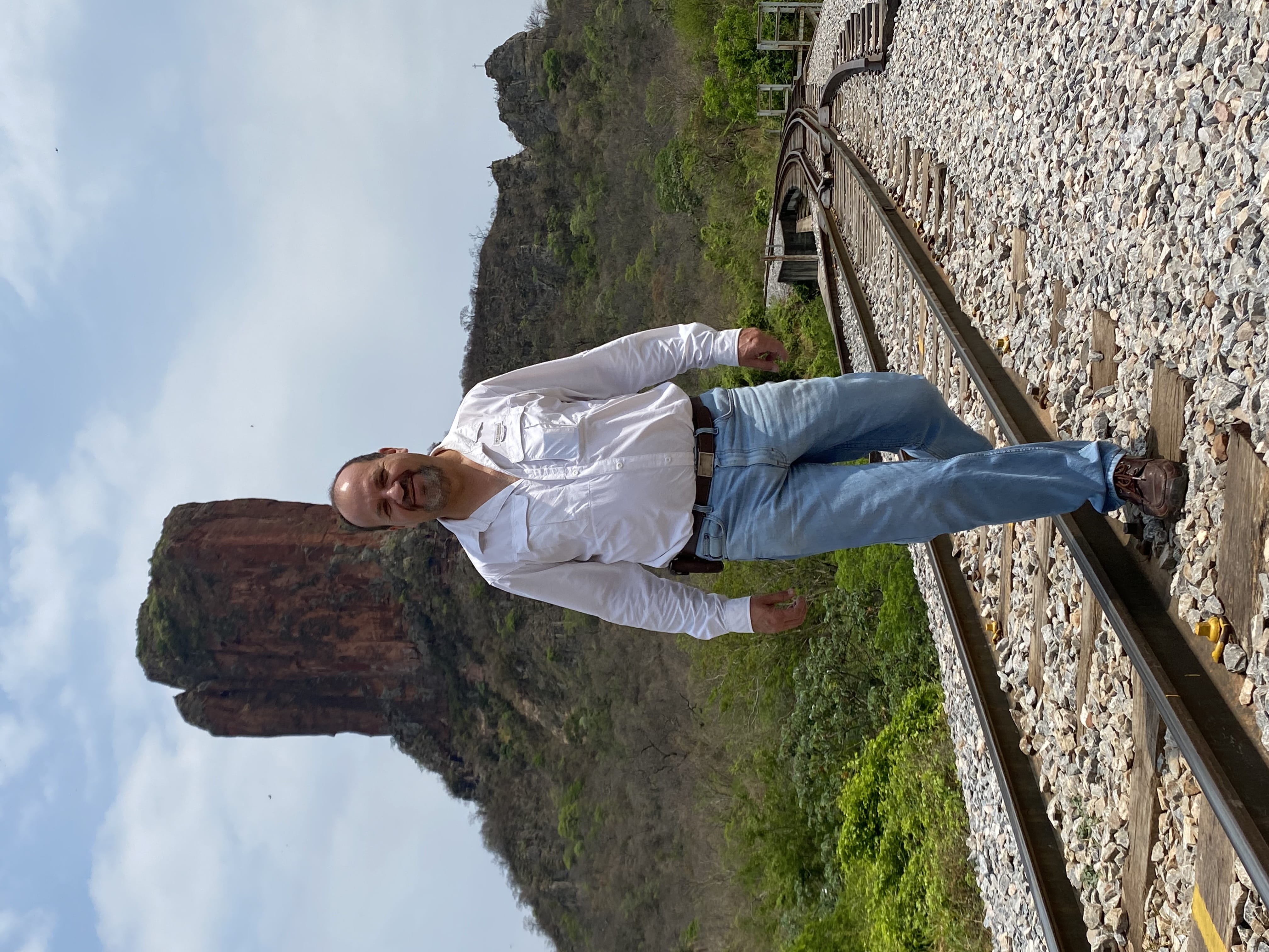 Wolffsohn's viscacha